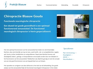 CHIROPRACTIE PRAKTIJK BLAAUW