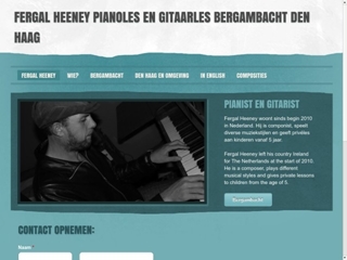 PIANO- EN GITAARLERAAR FERGAL HEENEY