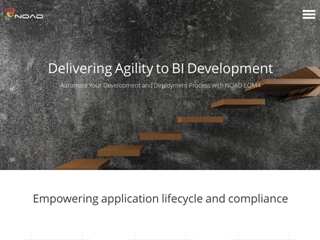 NOAD BUSINESS INTELLIGENCE BV
