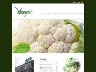 VOGEL AGF BV