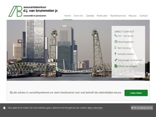 BRUMMELEN JR ASSURANTIEKANTOOR D J VAN