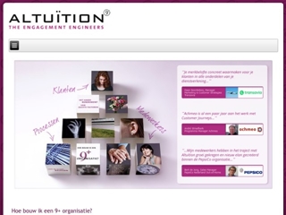 ALTUETION BV
