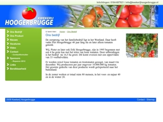 HOOGERBRUGGE STEENBERGEN BV P N