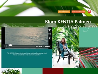 BLOM PALMEN GEBR