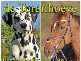 TORENHOEVE HONDENPENSION DE