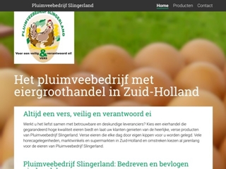 PLUIMVEEBEDRIJF SLINGERLAND