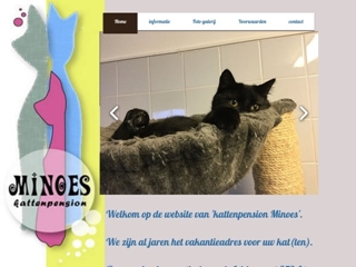 KATTENPENSION MINOES