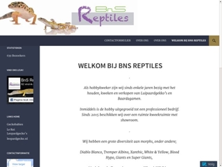 BNS REPTILES
