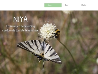 NIYA TRAINING EN BEGELEIDING