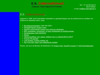 ES INTERNATIONAL
