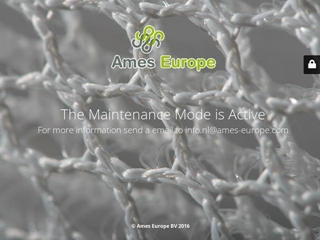 AMES EUROPE ENSCHEDE BV