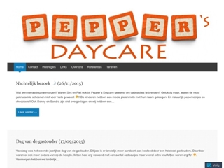PEPPER'S DAYCARE
